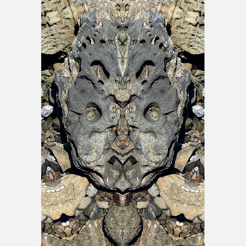 Perceptual fine art photograph by Enzo Ragazzini from the Creature series: Creature - Stone VI (2014), a mirrored surface activating pareidolia