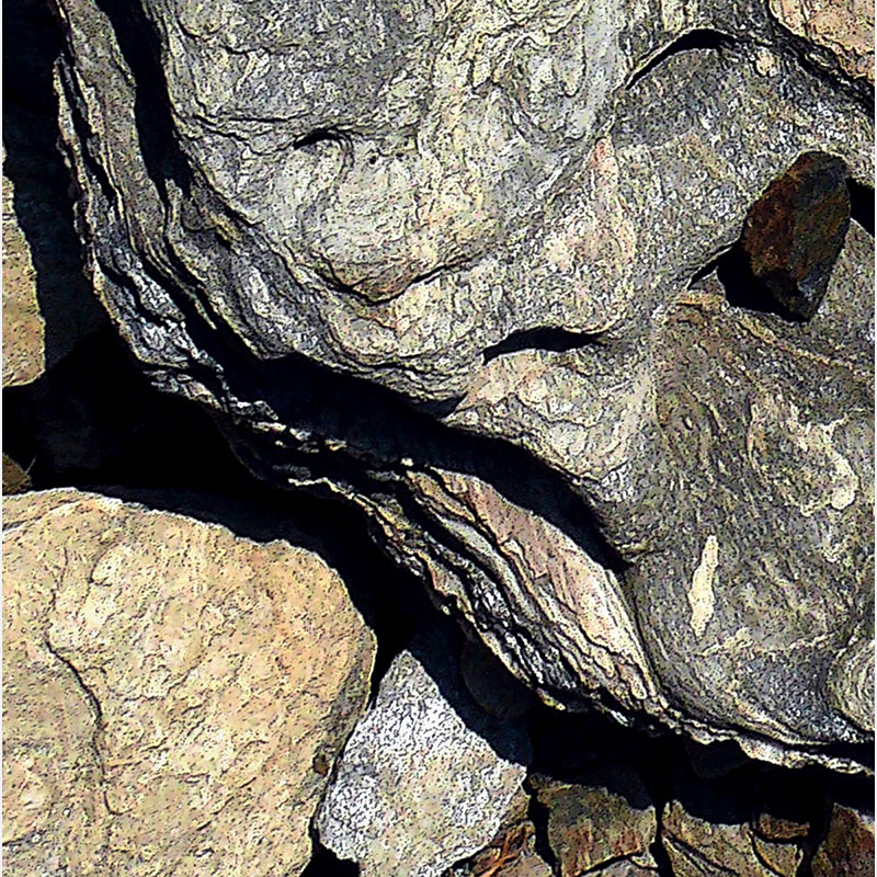 Detail of Perceptual fine art photograph by Enzo Ragazzini from the Creature series: Creature - Stone VI (2014), surface texture and figural emergence