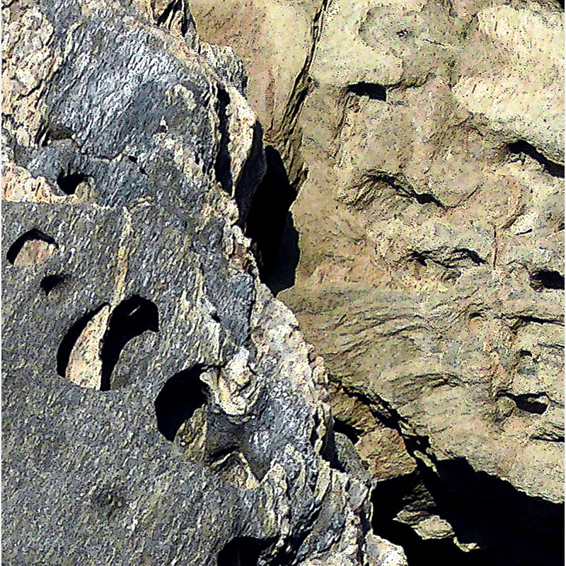 Detail of Perceptual fine art photograph by Enzo Ragazzini from the Creature series: Creature - Stone VI (2014), material and chromatic elaboration