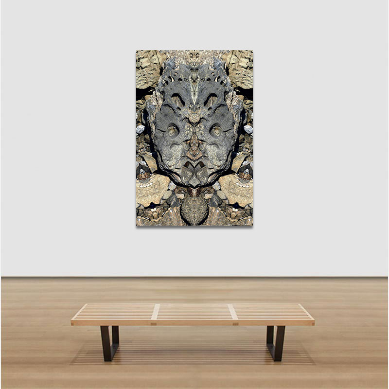 View in a room of Perceptual fine art photograph by Enzo Ragazzini from the Creature series: Creature - Stone VI (2014)