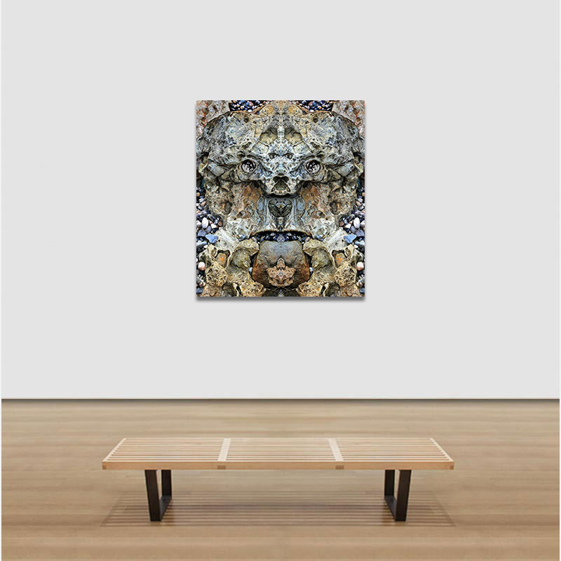 View in a room of Perceptual fine art photograph by Enzo Ragazzini from the Creature series: Creature - Stone VII (2014)