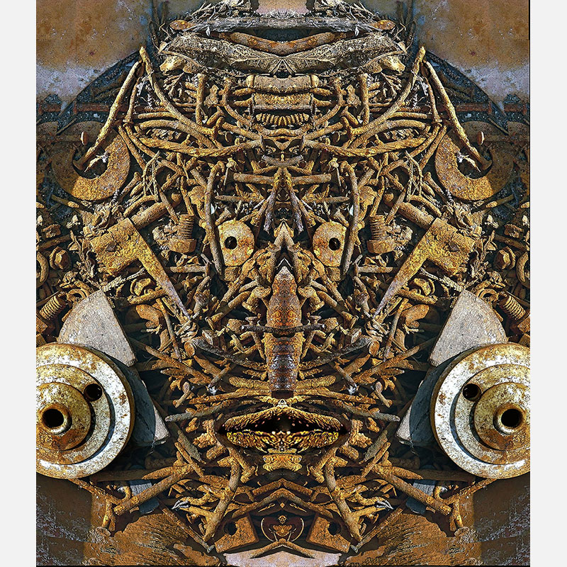 Perceptual fine art photograph by Enzo Ragazzini from the Creature series: Creature - Metal IV (2014), a mirrored surface activating pareidolia
