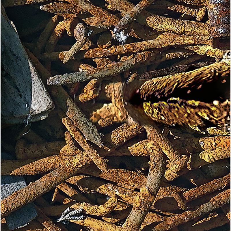 Detail of Perceptual fine art photograph by Enzo Ragazzini from the Creature series: Creature - Metal IV (2014), surface texture and figural emergence