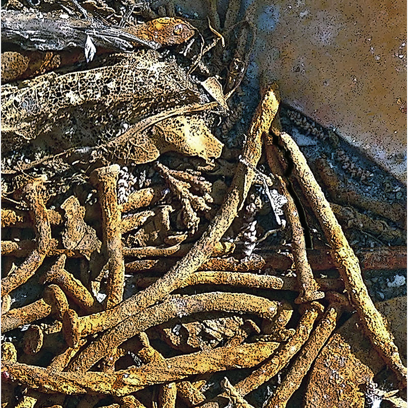 Detail of Perceptual fine art photograph by Enzo Ragazzini from the Creature series: Creature - Metal IV (2014), material and chromatic elaboration