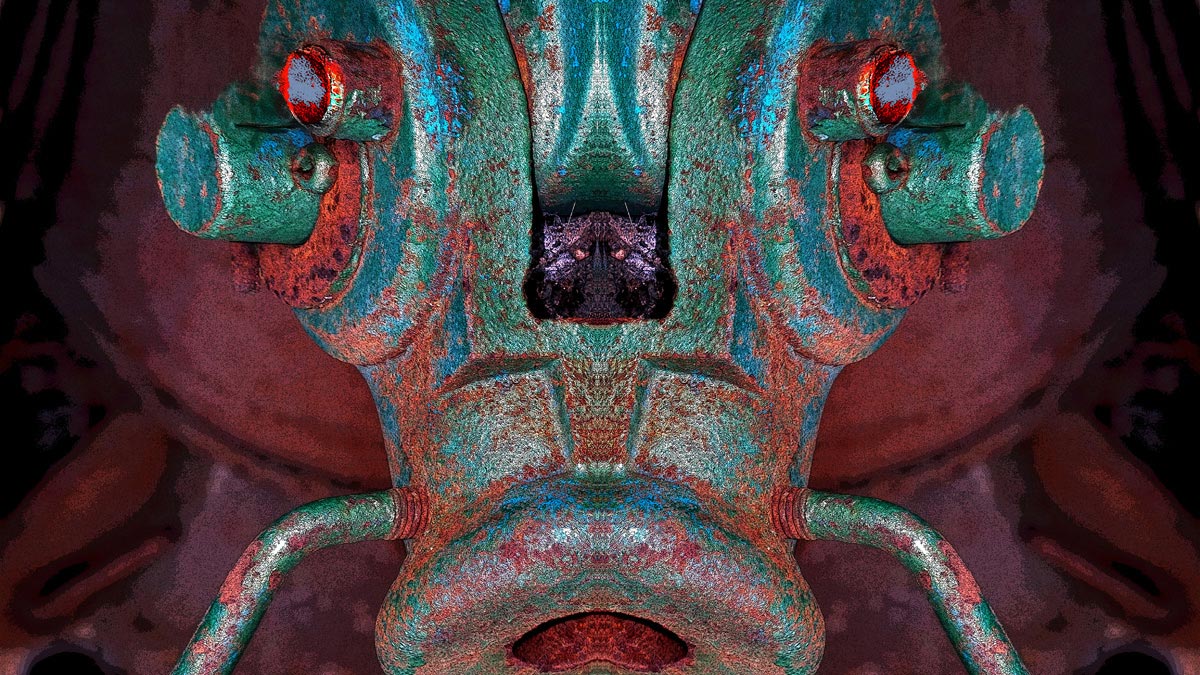 Photograph from CREATURE in which the mirrored texture of an organic or mineral surface yields a presence that was already latent in the material