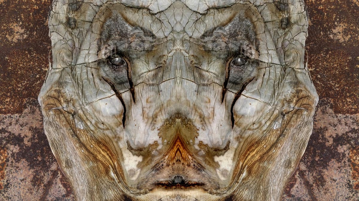 Photograph from CREATURE demonstrating how erosion, oxidation, and time assemble figural forms the camera and the mirror make fully visible