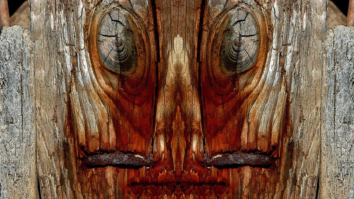 Photograph from CREATURE in which a decaying wall or rusted metal surface resolves through mirroring into a frontal face of considerable psychological weight