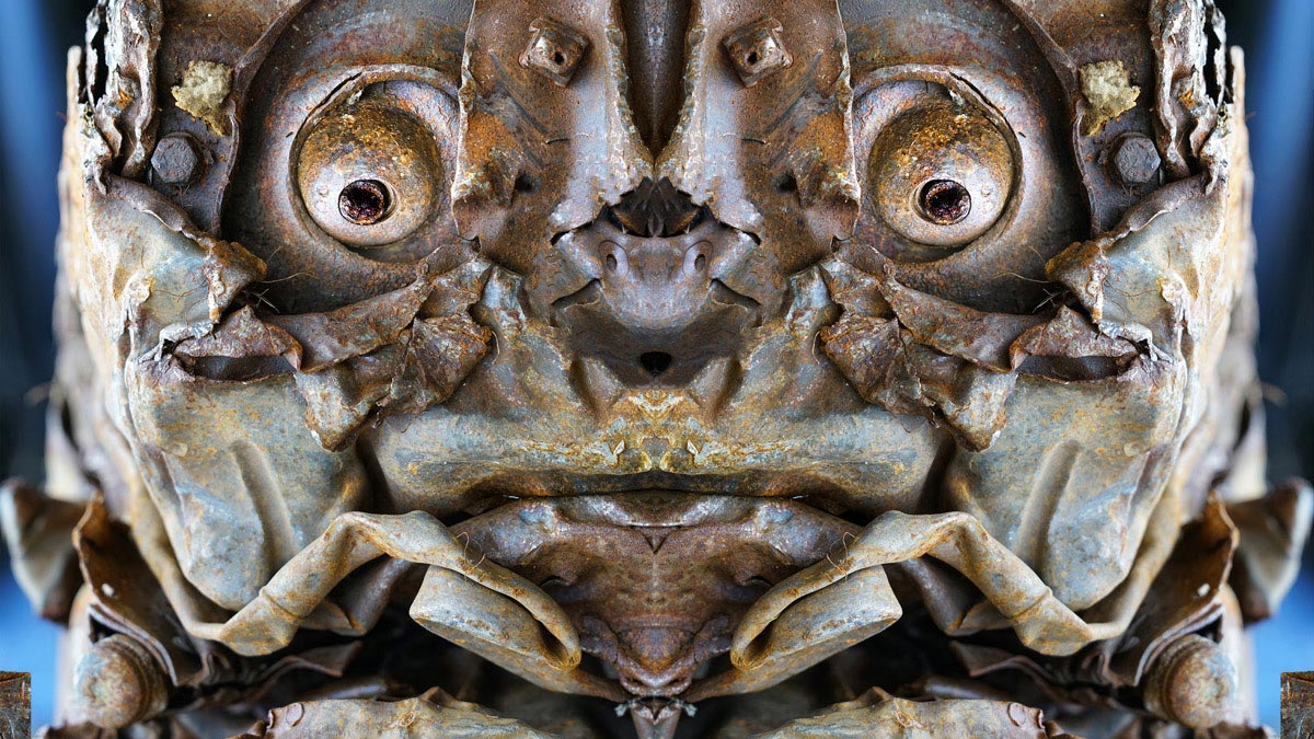 Representative photograph from CREATURE tracing Ragazzini's ongoing inquiry into pareidolia, perception, and the figural capacity of matter since 2013